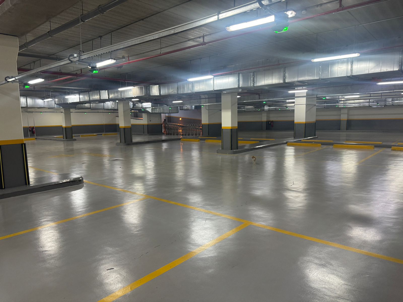 اريضات مواقف لامعة براقة